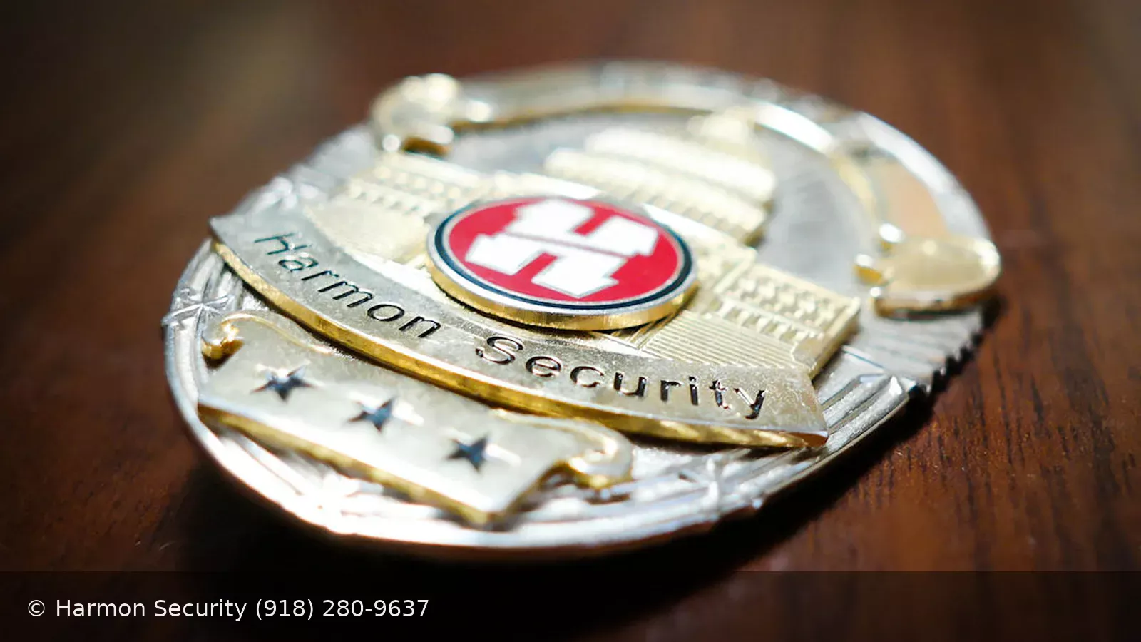 Harmon Security Group